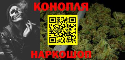 тгк Гай