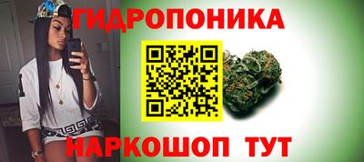 тгк Гай