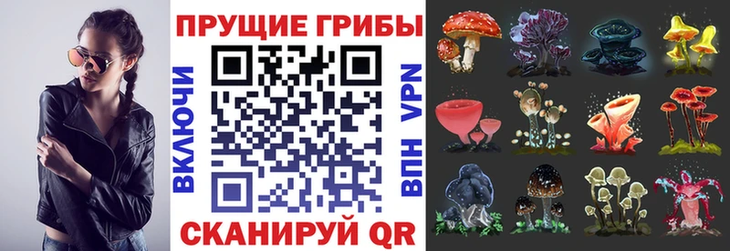 Псилоцибиновые грибы ЛСД  Ливны 