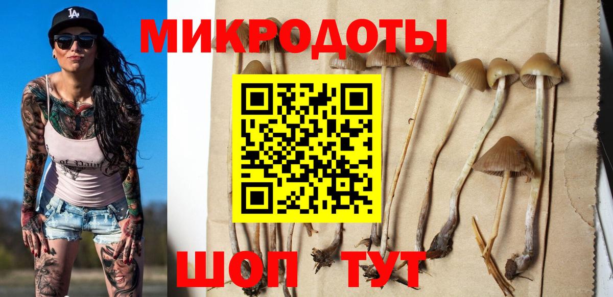 Галлюциногенные грибы мухоморы Ливны