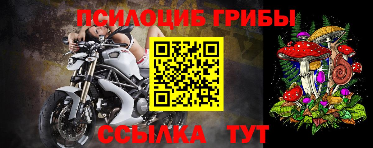 Псилоцибиновые грибы MAGIC MUSHROOMS Ливны