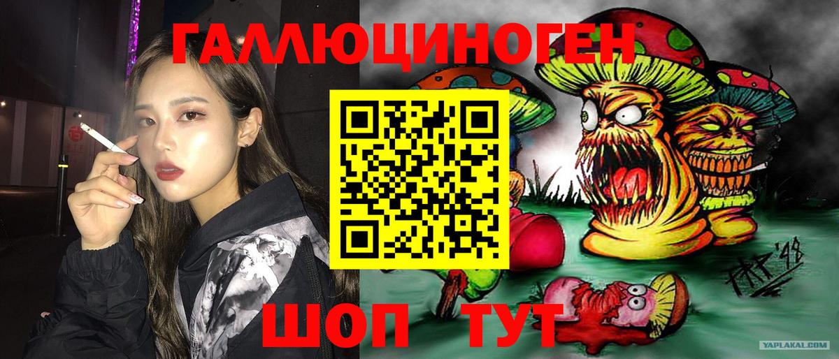 Ливны  Галлюциногенные грибы GOLDEN TEACHER  Вход с VPN  Галлюциногенные грибы Psilocybe 